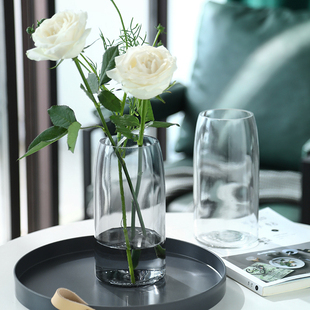 轻奢网红玻璃花瓶透明客厅花器摆件装 饰创意简约北欧水养玫瑰插花