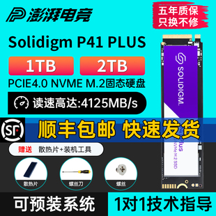 pcie4ssd PRO1t2t固态硬盘nvme笔记本m2台式 P41PLUS Solidigm P44