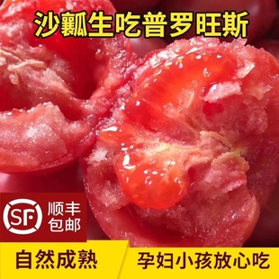陕西泾阳普罗旺斯番茄孕妇水果当季 沙瓤自然熟西红柿新鲜生吃蔬菜