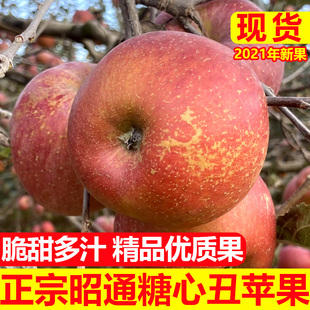 2021年现货云南昭通冰糖心丑苹果新鲜当季 整箱10斤 包邮 红富士水果