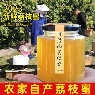 2023特产荔枝蜜 罗浮山养蜂场广东蜂蜜纯正天然农家自产正宗蜂蜜