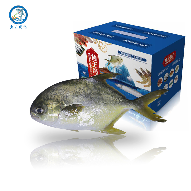 海南三亚新鲜鲜活金鲳鱼热卖 水产海鲜金昌鱼500g满3斤 包邮