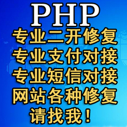 前端 网站系统定制开发 PHP 支付接口 二次开发 API对接 BUG