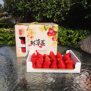 有机草莓包装 盒5斤新鲜草莓盒子现货水果纸箱批发纸盒