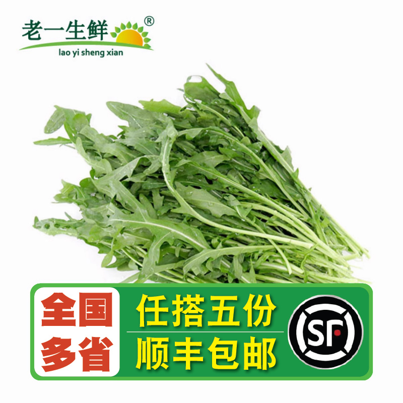 西餐蔬菜 新鲜 老一生鲜 火箭菜 沙拉菜 生菜 芝麻菜 250g