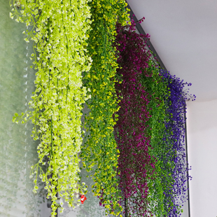 仿真金钟柳壁挂花藤塑料绿植物墙吊兰假花盆栽餐客厅幼儿园装 饰花