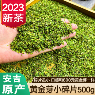 黄金小碎茶片2023年新茶叶明前安吉白茶嫩芽绿茶高碎散装 500g浓香