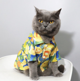 油画风 猫咪衬衫 法式 薄款 猫衬 比熊雪纳瑞比熊泰迪狗狗衣服夏装