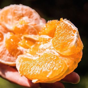 地标产品 橙上良品 9斤赣州寻乌 正宗江西赣南脐橙新鲜橙子3