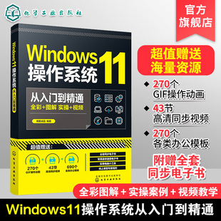 Windows11操作系统从入门到精通 新版 11操作系统常用 各种功能 Windows 电脑初学者和维修人员参考 Windows功能与操作技巧全掌握
