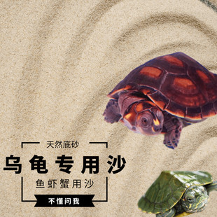 鱼缸底砂天然河 甲鱼冬眠沙石沙下蛋孵化专用螃蟹宠物 乌龟冬眠沙