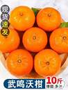 广西武鸣沃柑10斤 包邮 橙子橘子现摘当季 新鲜水果蜜桔子皇帝贡柑5